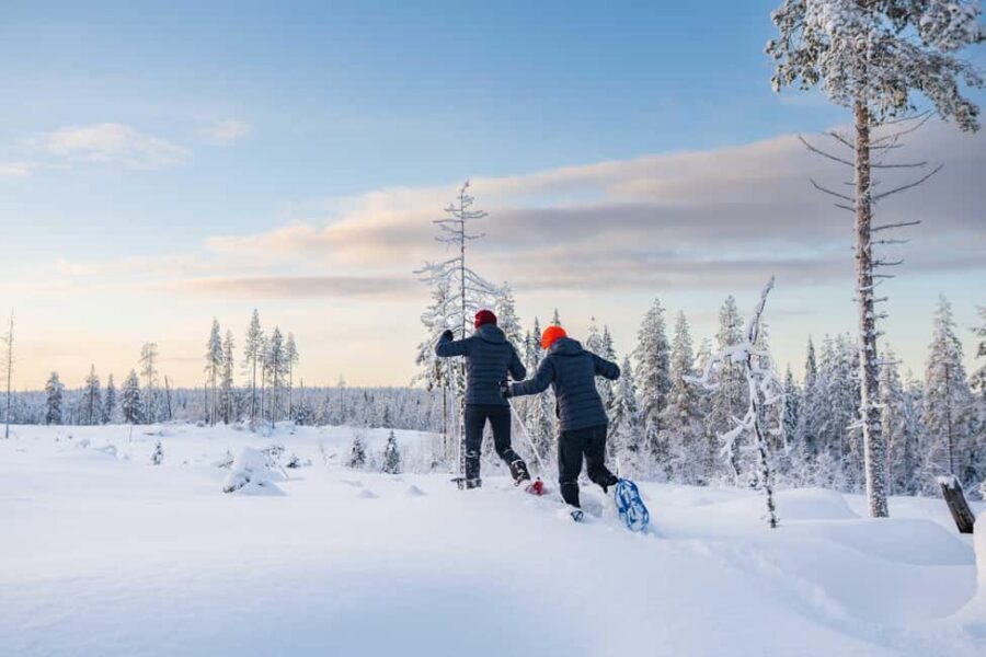 Rovaniemi: Snowshoe Wilderness Adventure - The Main Hike: Kilometers in Arctic Forest, Not a Quick Stroll
