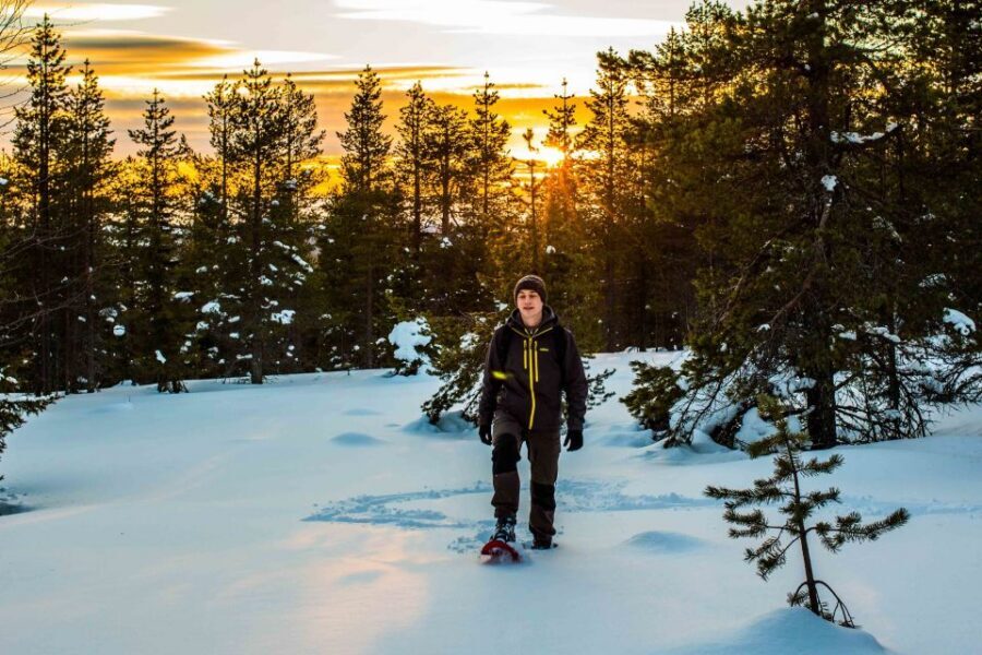 Rovaniemi: Snowshoe Wilderness Adventure - A Photographer Guide Who Teaches You How to See