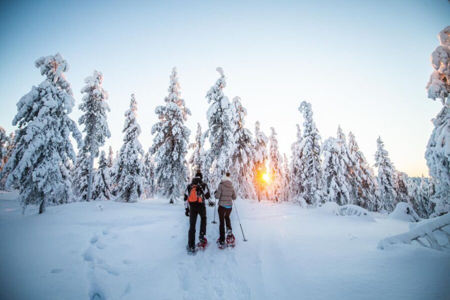 Rovaniemi: Snowshoe Wilderness Adventure - Weather, Cold, and What You Should Plan For