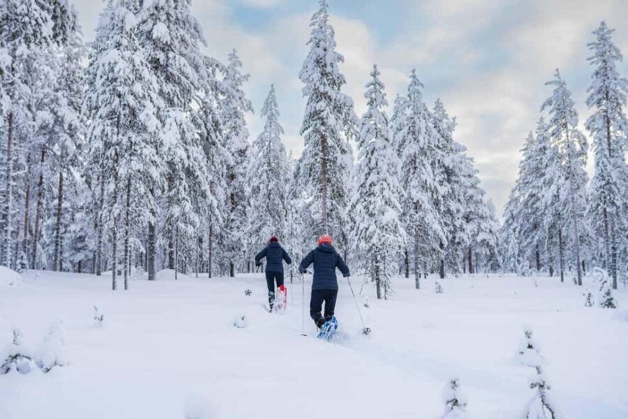 Rovaniemi: Snowshoe Wilderness Adventure - Who This Snowshoe Wilderness Adventure Fits Best