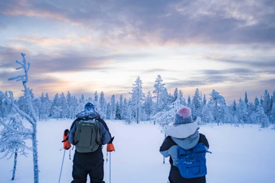 Rovaniemi: Snowshoe Wilderness Adventure - Your Snowshoe Setup: Gear That Fits Deep Snow