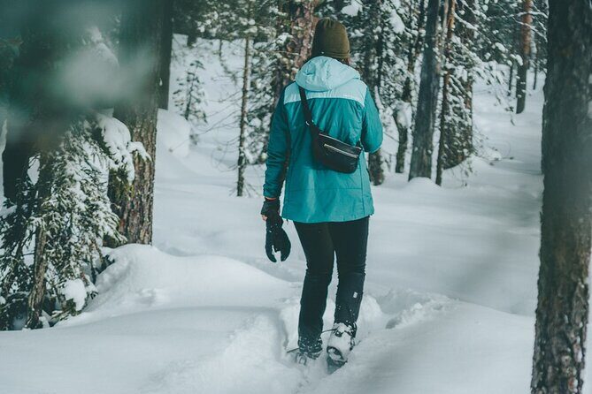 Rovaniemi: Snowshoeing in a magical snowy forest - Key things to know before you go
