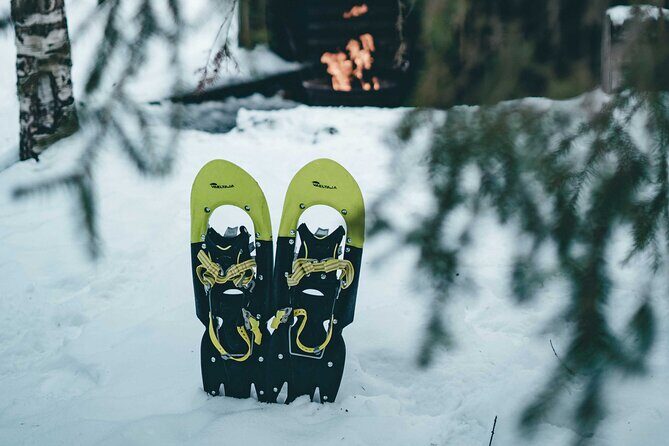 Rovaniemi: Snowshoeing in a magical snowy forest - Where Rovaniemi’s winter magic feels real, not staged