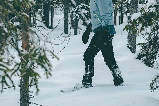 Rovaniemi: Snowshoeing in a magical snowy forest - Warm up by the fire: snacks, hot juice, and a Finnish-style sausage moment