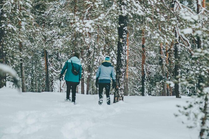 Rovaniemi: Snowshoeing in a magical snowy forest - Price and value: what $98.33 buys in winter time