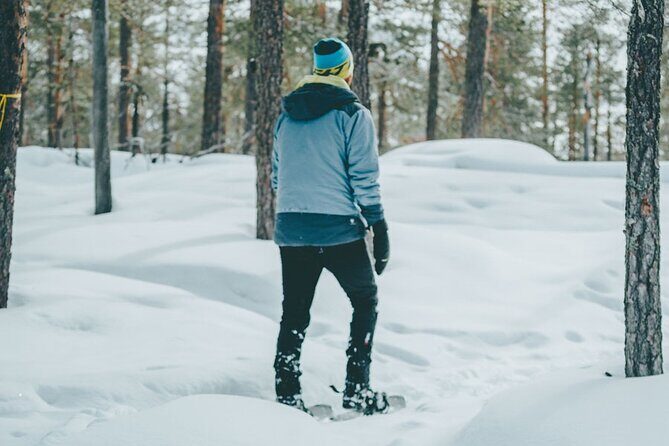 Rovaniemi: Snowshoeing in a magical snowy forest - Getting there: pickup offered and close to public transit