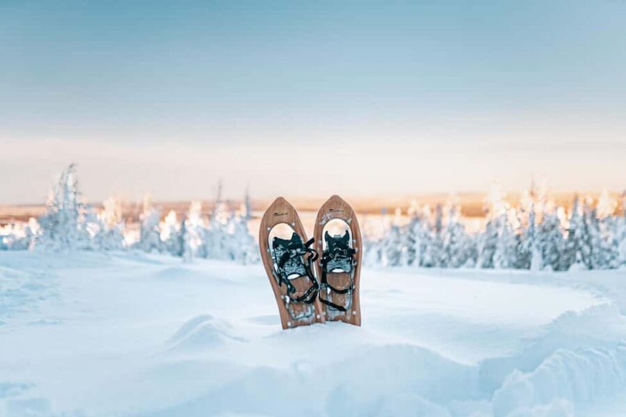 Rovaniemi: Snowshoeing in the Arctic Wilderness - Snowshoeing lessons for deep snow, without the intimidation
