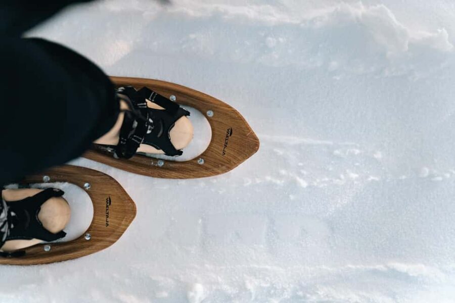 Rovaniemi: Snowshoeing in the Arctic Wilderness - Should you book this Rovaniemi Arctic snowshoe campfire tour?