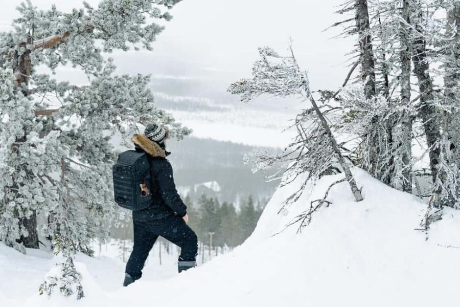 Rovaniemi: Snowshoeing in the Arctic Wilderness - Your campfire stop: sausage, hot drinks, and gingerbread cookies