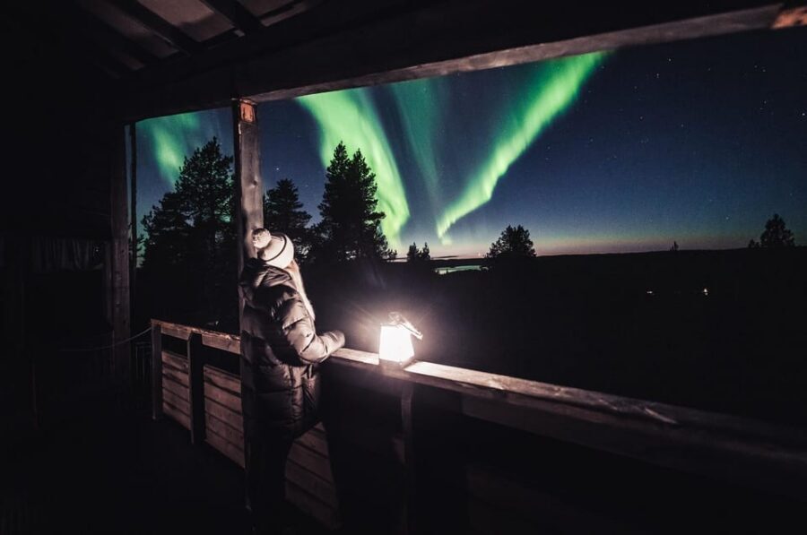 Rovaniemi: Snowy Forest Night Hike with Northern Lights - Key Things to Know Before You Go