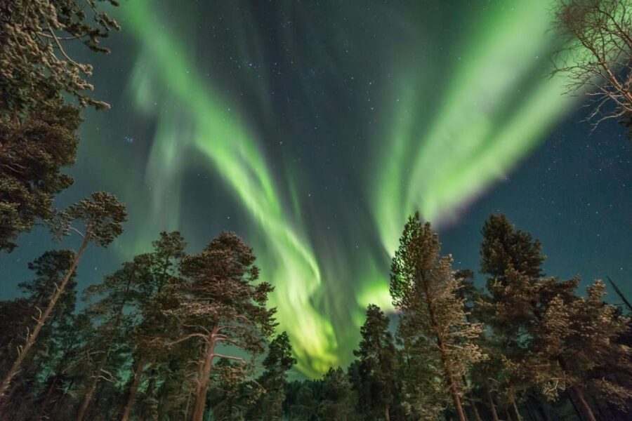 Rovaniemi: Snowy Forest Night Hike with Northern Lights - A 3-Hour Snowshoe Night In Rovaniemi: What the Timing Really Feels Like