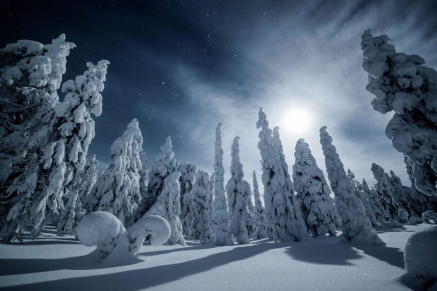 Rovaniemi: Snowy Forest Night Hike with Northern Lights - Getting There and Getting Ready: Logistics You Should Not Ignore