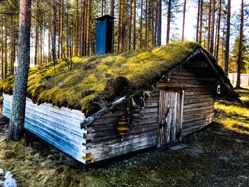 Rovaniemi: Summer Reindeer Farm Experience - Quick hits: what makes this farm tour worth your time
