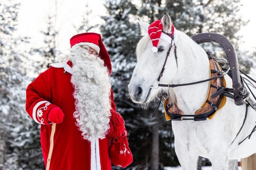 Rovaniemi: Traditional Finnhorse Sleigh Ride at SCV (3km) - Key points before you go