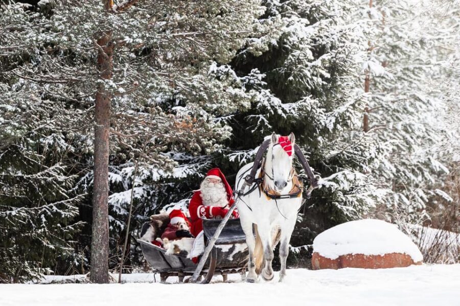 Rovaniemi: Traditional Finnhorse Sleigh Ride at SCV (3km) - Finding Aurora Horses Napapiiri at the north end of Joulumaantie