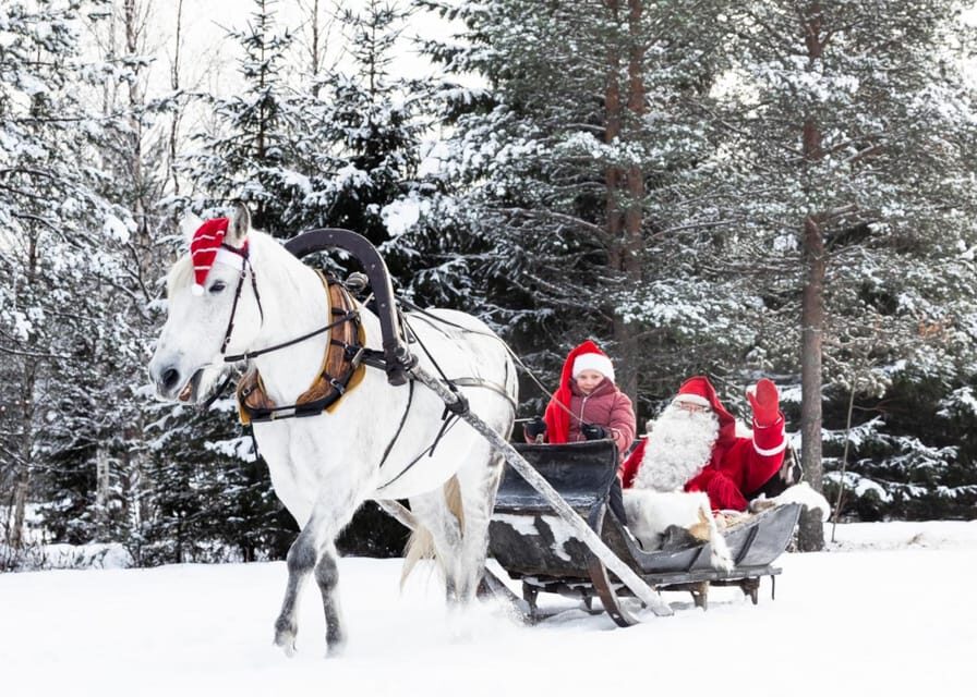 Rovaniemi: Traditional Finnhorse Sleigh Ride at SCV (3km) - Before the sleigh leaves: meeting the horses and keeping things gentle