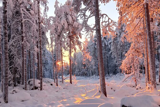 Rovaniemi: Trip to Ranua Zoo with Tickets Included - Price and Value: Is $120.15 Worth It?