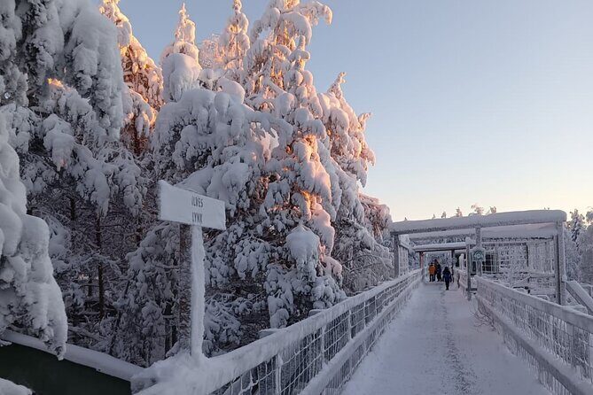 Rovaniemi: Trip to Ranua Zoo with Tickets Included - Practical Tips for a Smooth Arctic Zoo Visit