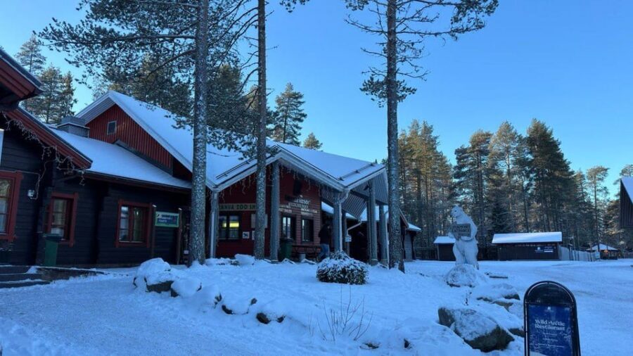 Rovaniemi: trip to the Ranua Zoo (transportation, tickets) - Who this tour suits best