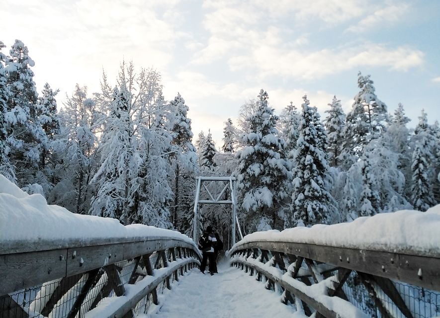 Rovaniemi: Vaattunki Hiking Arctic Circle Trail - Key moments worth the hike