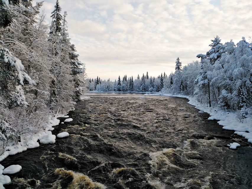 Rovaniemi: Vaattunki Hiking Arctic Circle Trail - Lapland forests and open marshes: what you might see and learn