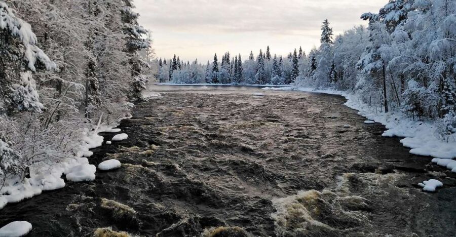 Rovaniemi: Vaattunki Hiking Arctic Circle Trail - Bonfire snacks, warm drinks, and sausage by the fire