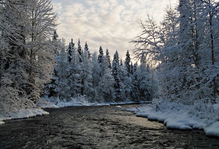 Rovaniemi: Vaattunki Hiking Arctic Circle Trail - What to bring (and what to leave behind)