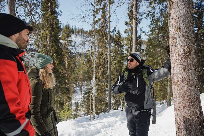 Rovaniemi - Visit to The Frozen Waterfalls of Korouoma - Frozen waterfalls: how to enjoy them without rushing