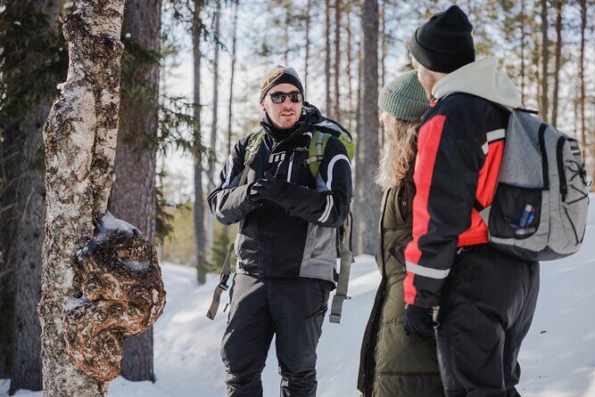 Rovaniemi - Visit to The Frozen Waterfalls of Korouoma - Who should book this Frozen Waterfalls day