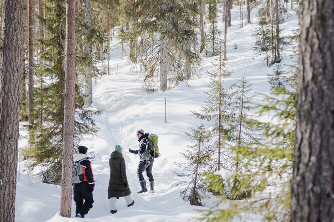 Rovaniemi - Visit to The Frozen Waterfalls of Korouoma - Korouoma Canyon and the Ice Trail: what you’re walking toward