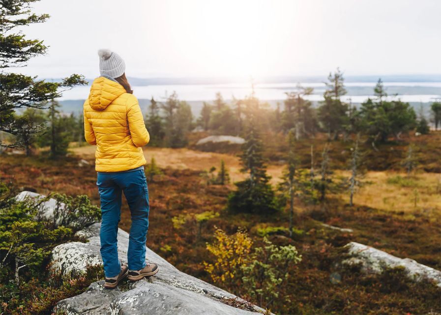 Rovaniemi: Wild Moose Safari - Timing Is Everything: Sunrise/Sunset Is the Real Star