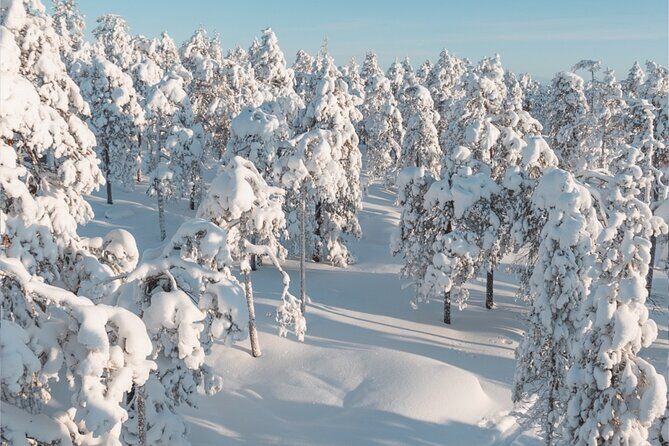 Rovaniemi: Winter Wonderland Vikaköngäs Hiking Tour & BBQ - The BBQ and campfire warm-up: not an afterthought