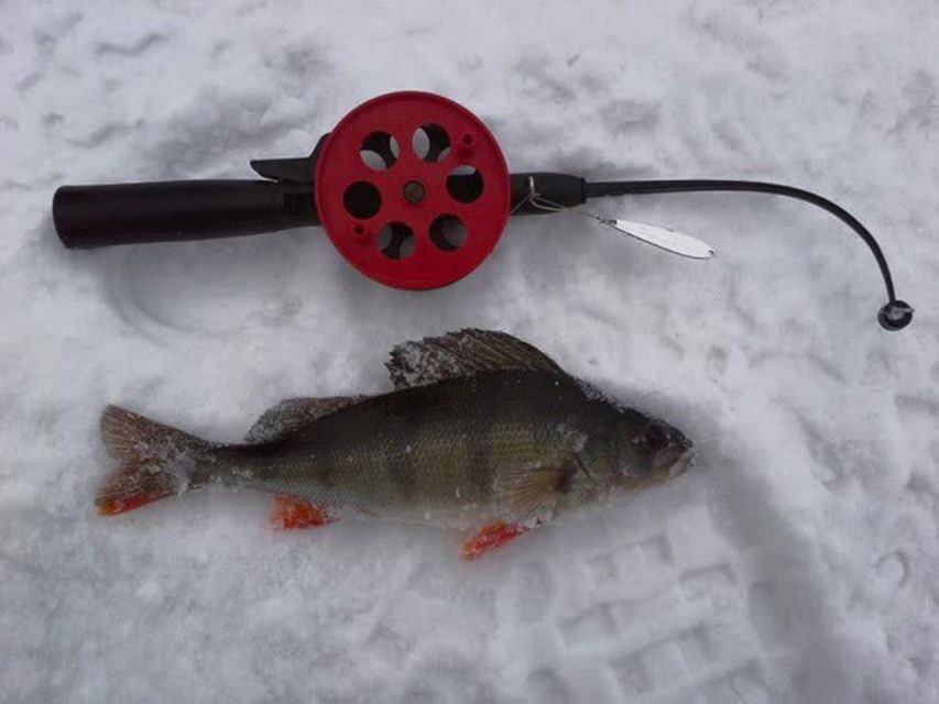 Ruka: Ice fishing trip - Price and value: what $111 buys you in Ruka