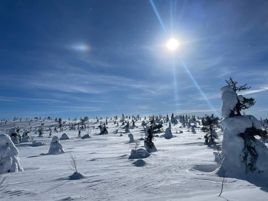 Ruka: Riisitunturi National Park with lunch. - Key Things You Should Know Before You Go