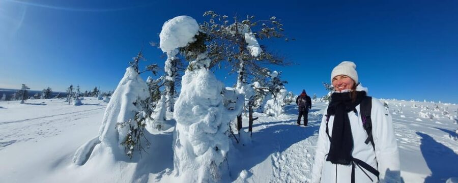 Ruka: Riisitunturi National Park with lunch. - Who should book this Riisitunturi mindfulness walk?
