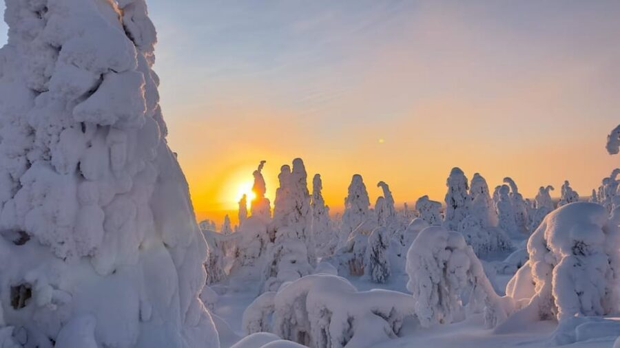 Ruka: Riisitunturi National Park with lunch. - From Ruka or Kuusamo to Riisitunturi: the pickup that sets the tone