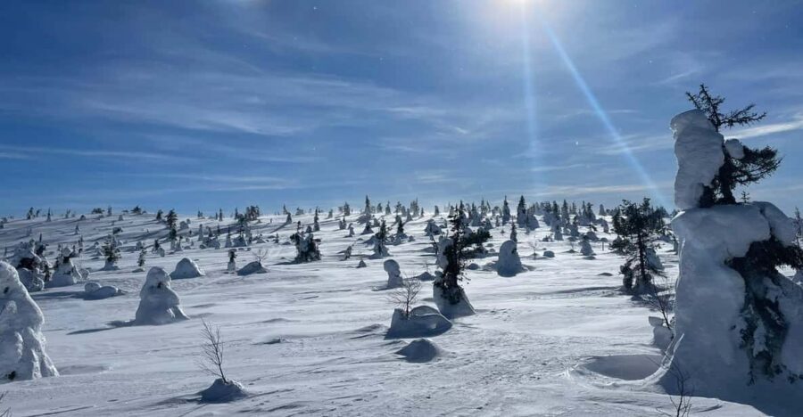 Ruka: Riisitunturi National Park with lunch. - Mindfulness with Tuulia: calm pacing in the middle of winter