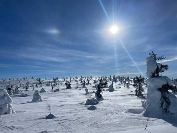 Ruka: Riisitunturi National Park with lunch. - Packing for Lapland: the clothing checklist that actually prevents misery