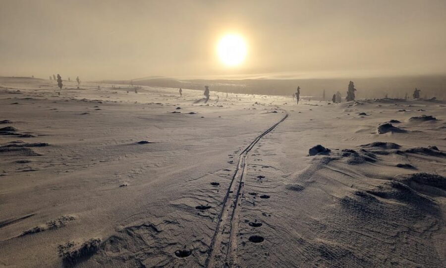 Saariselkä: Back-Country Skiing Guided Tour - Back-country skiing in Saariselkä: what you’re really paying for