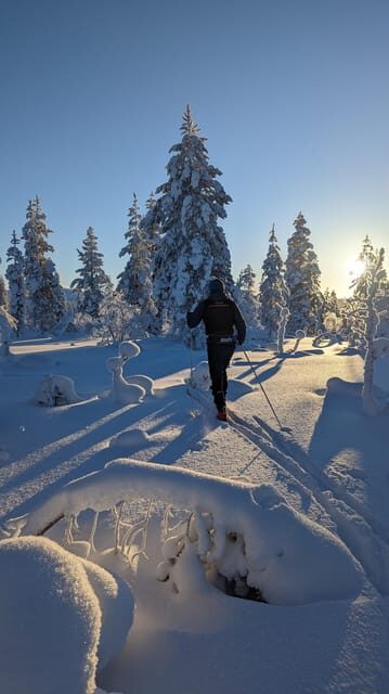 Saariselkä: Back-Country Skiing Guided Tour - Off-trail skiing through forests and fells: the “choose your route” part