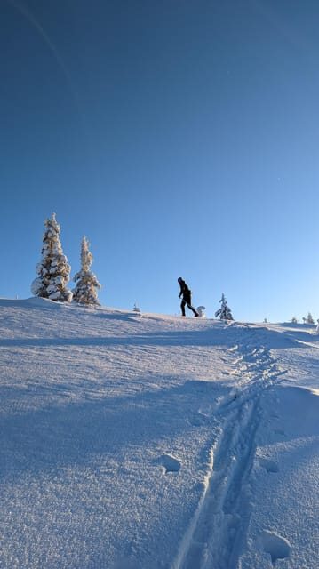 Saariselkä: Back-Country Skiing Guided Tour - The wildlife spotting rhythm: how to actually enjoy it