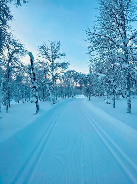 Saariselkä: Cross-Country Skiing for beginners - On-snow instruction: how you learn the basics in the first stretch