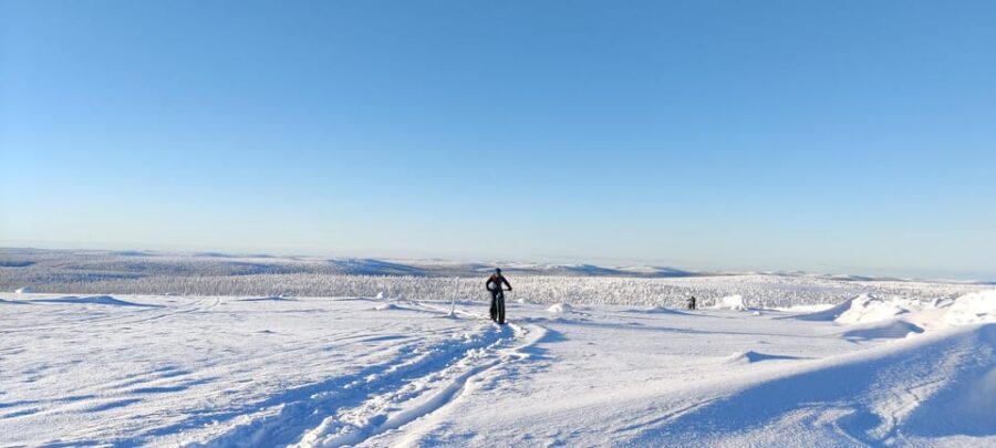 Saariselkä: Guided Fatbike Tour - Quick reasons to go