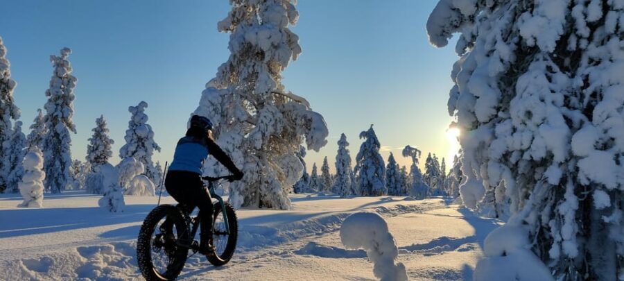 Saariselkä: Guided Fatbike Tour - Saariselkä fatbikes: what makes this winter ride special