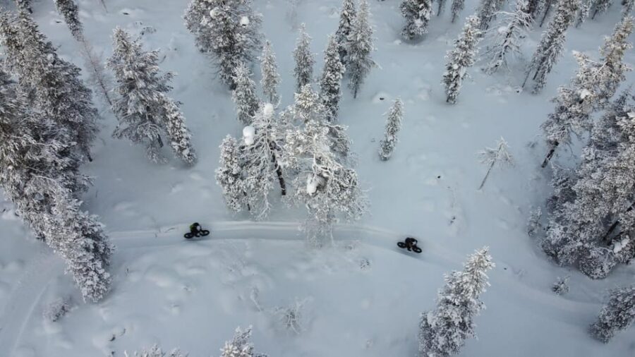 Saariselkä: Guided Fatbike Tour - Bike options: e-fatbike or bio fatbike, and why it affects your day