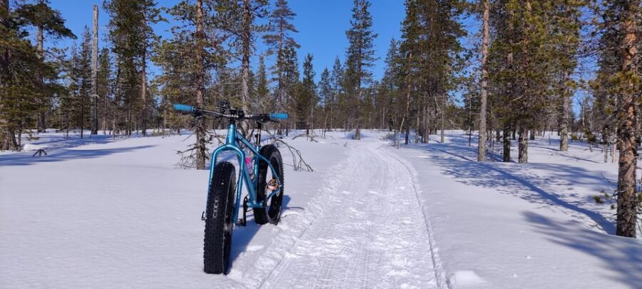 Saariselkä: Guided Fatbike Tour - The warm drink stop: a small break that changes everything