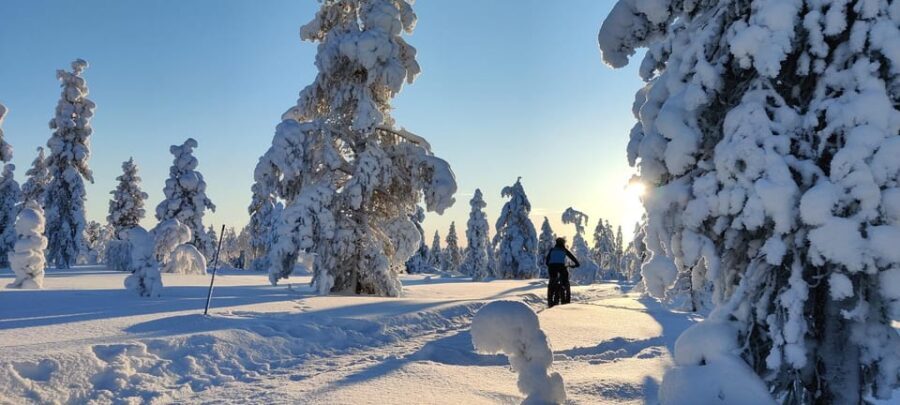 Saariselkä: Guided Fatbike Tour - Choosing your route: forest trails vs fell riding