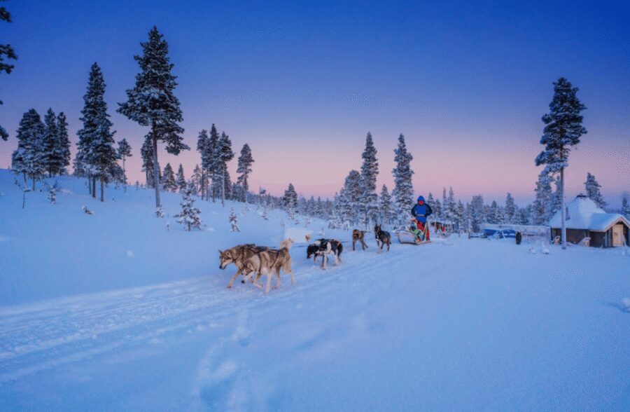Saariselkä: Husky Safari with Aurora Borealis Hunt - Star Arctic Hotel reception: get dressed before you go cold