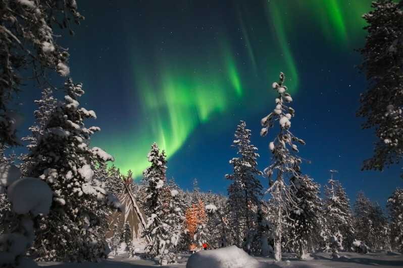 Saariselkä: Northern Lights Hunting Snowshoe Trip - Night-Wilderness Snowshoeing: The Saariselkä Setup That Makes Sense