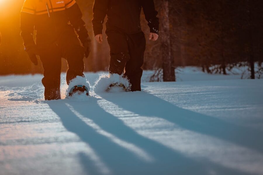 Saariselkä: Northern Lights Hunting Snowshoe Trip - Snowshoes 101: The Real Value Is the Coaching